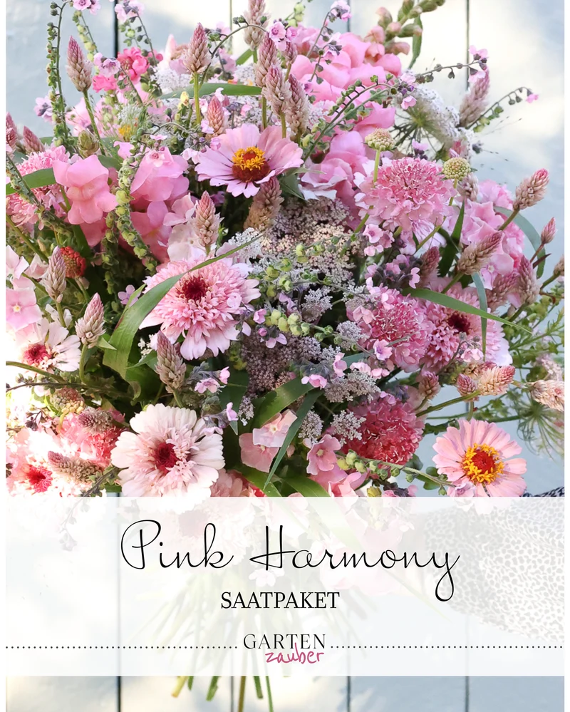 Saatgutpaket · Pink Harmony · Saatgut von Gartenzauber