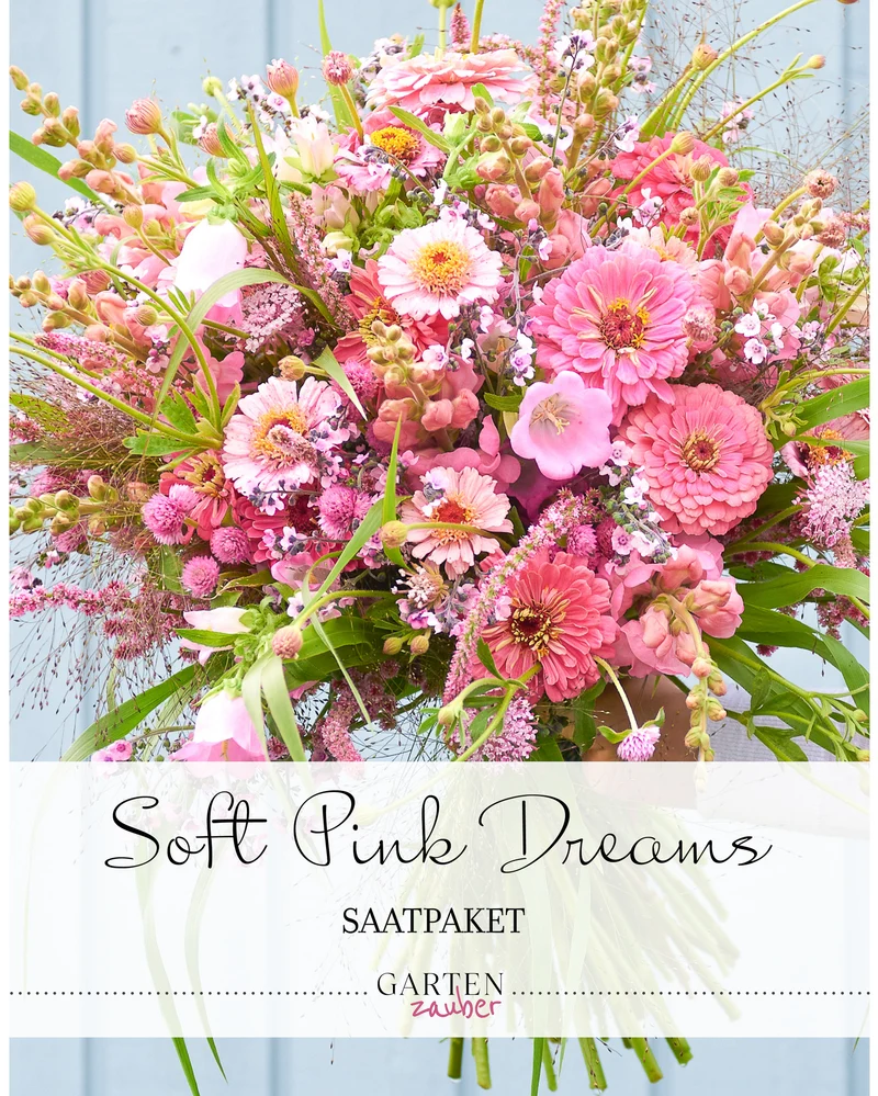 Saatgutpaket · Soft Pink Dreams · Saatgut von Gartenzauber