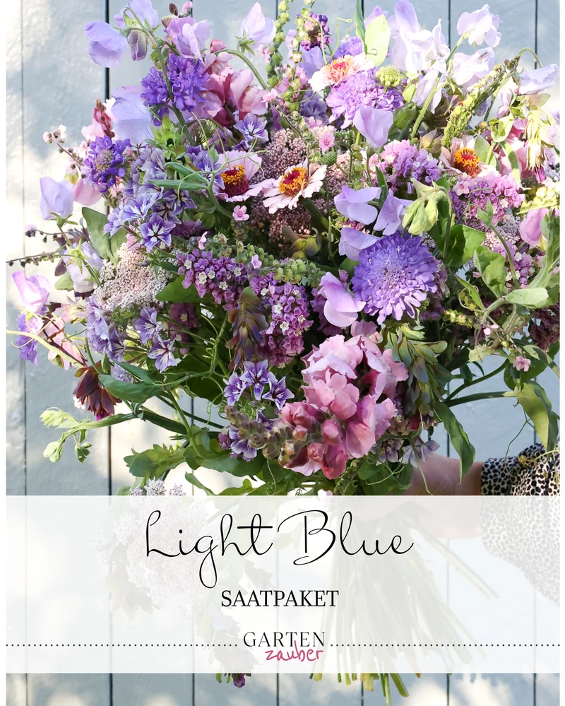 Saatgutpaket · Light Blue · Saatgut von Gartenzauber
