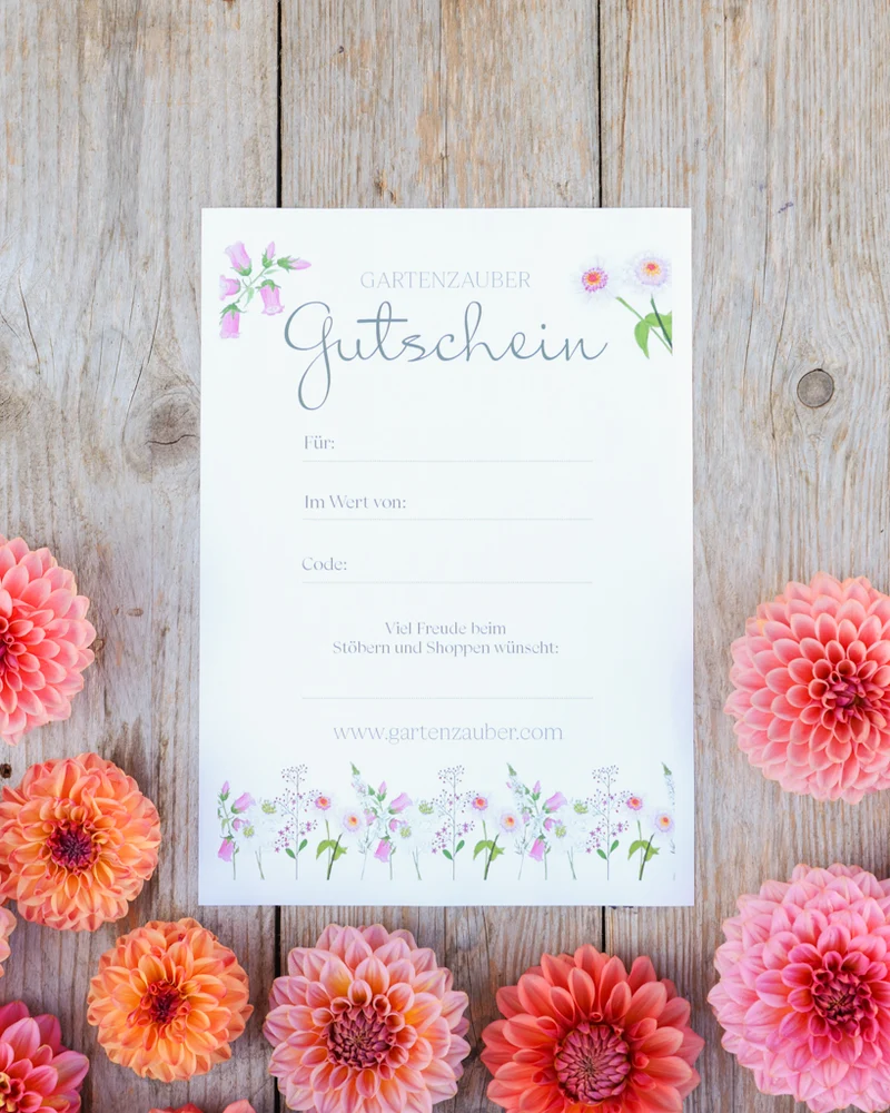 Gartenzauber Geschenkgutschein · das perfekte Geschenk für Gartenfreunde